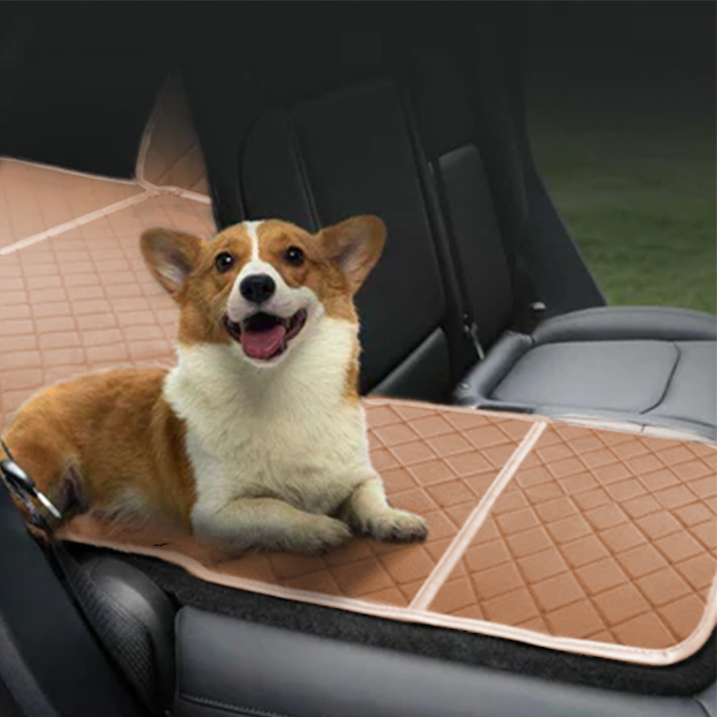 Trunk Mat for Tesla Model Y | Waterproof Dog Cover