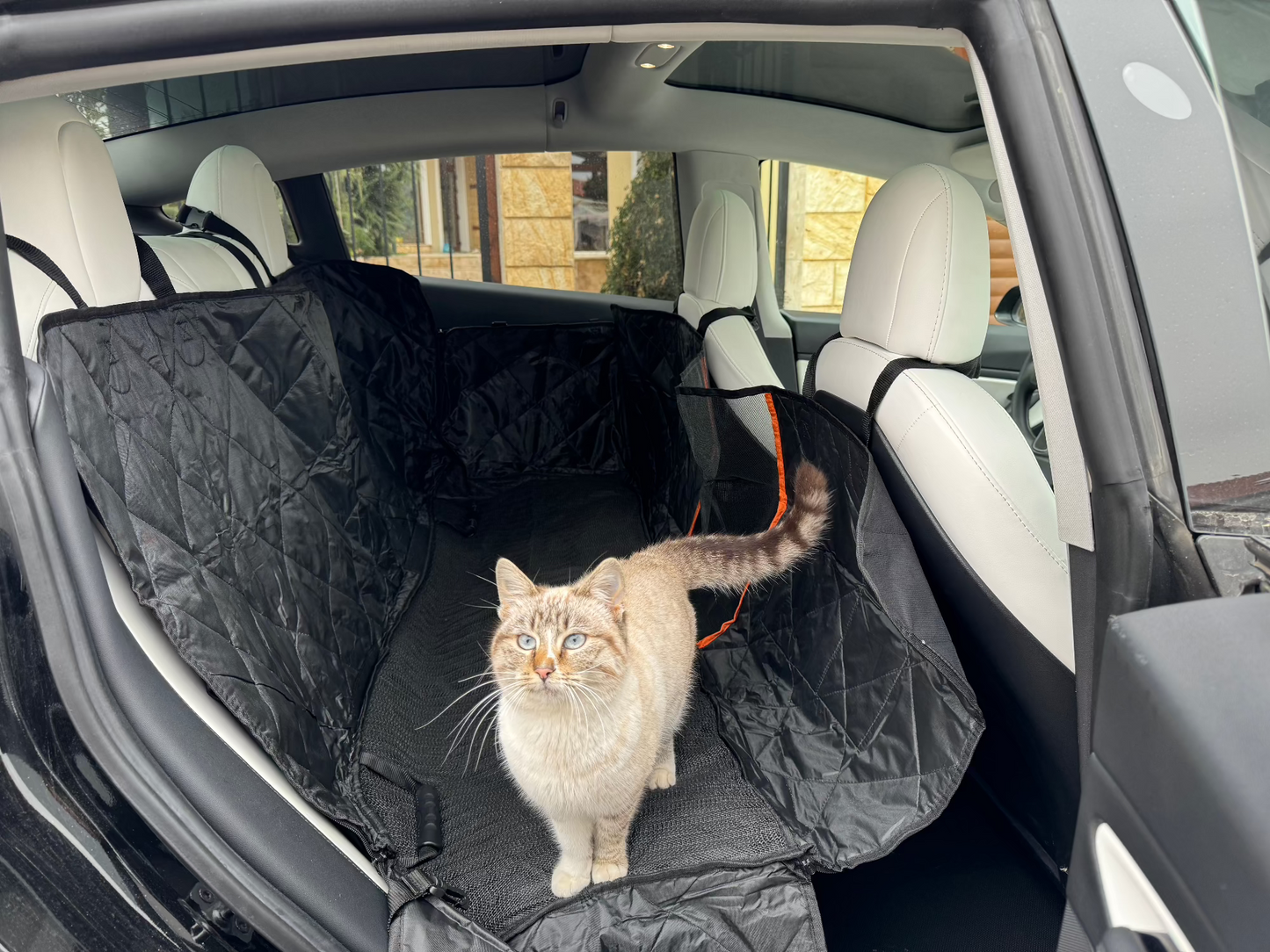 Rear Seats Cover for Pets | Tesla Model S, 3, X, Y